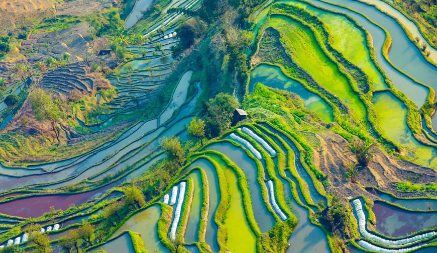 宝妈必备神器：茶陵县产品视频拍摄轻松育儿好帮手