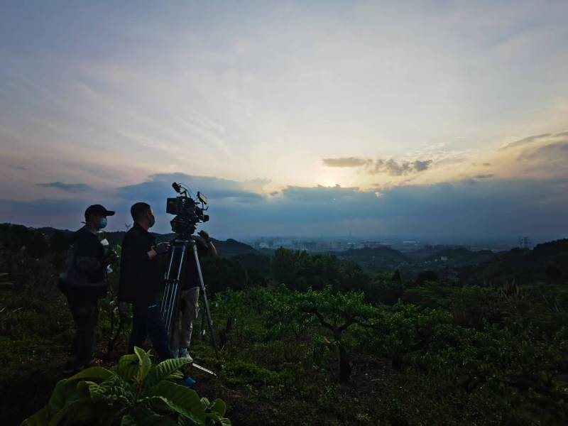 聚焦茶陵县产品宣传视频拍摄公司，用专业实力铸就品牌传播传奇